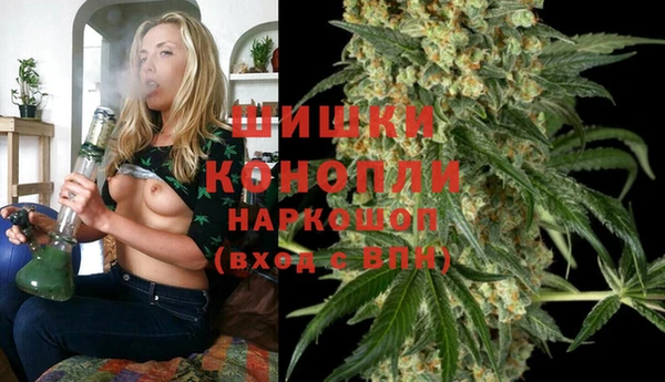 гашик Аркадак