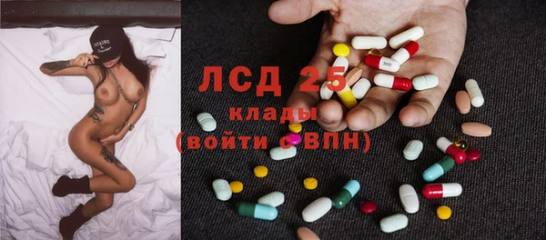 гашик Аркадак
