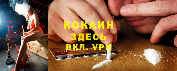 гашик Аркадак