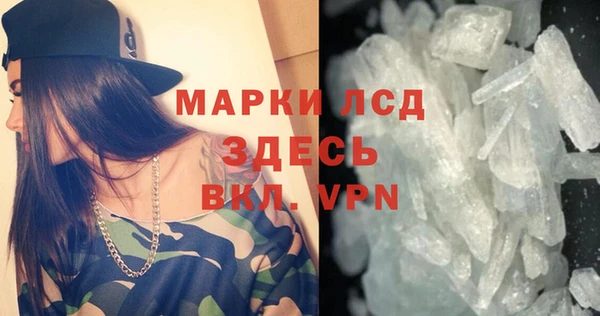 гашик Арсеньев