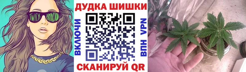 blacksprut зеркало  даркнет сайт  Нововоронеж  Шишки марихуана LSD WEED 